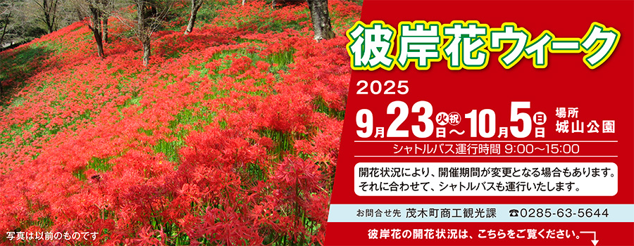 彼岸花ウィーク2025